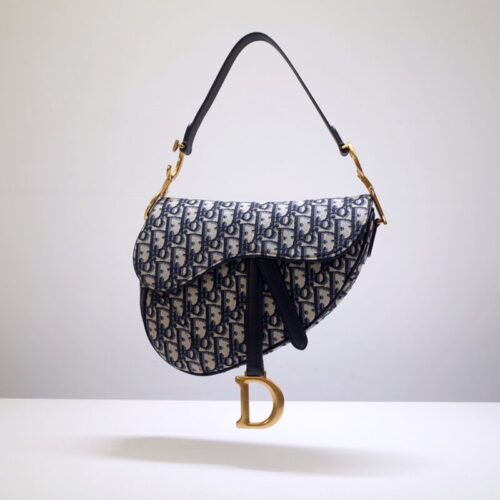 Dior Saddle Bag CD Canvas