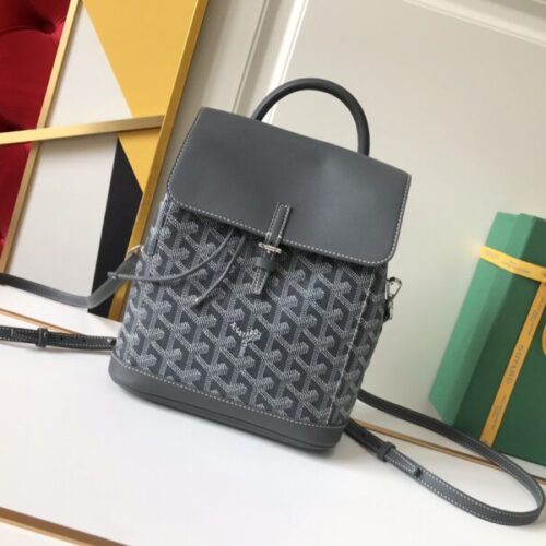 Goyard Alpi Mini Backpack Grey