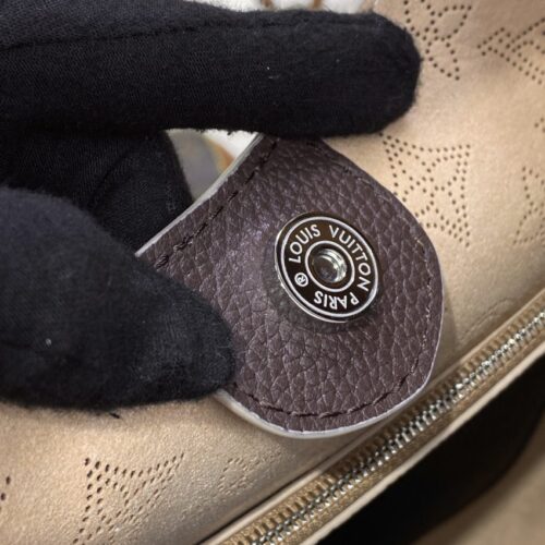 Alternative view of LV Carmel Brown