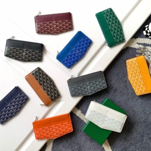 Goyard Insert Louise