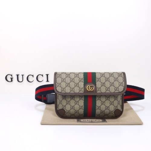 Gucci Ophidia  GG Small Waist Web