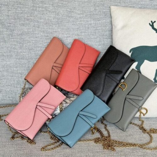 Dior Saddle WOC