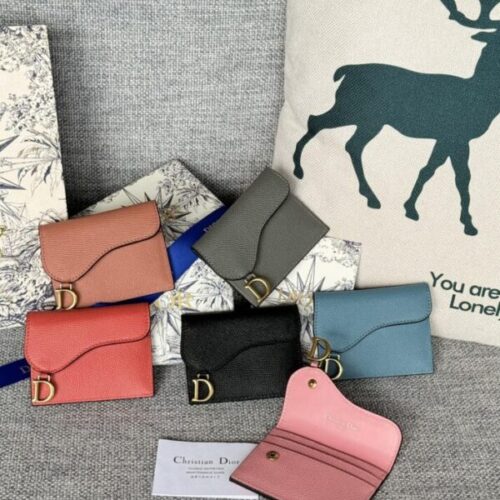 Dior Saddle Flap Card Holder