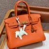 Hermes Birkin Orange Togo Gold