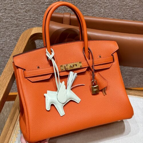 Hermes Birkin Orange Togo Gold
