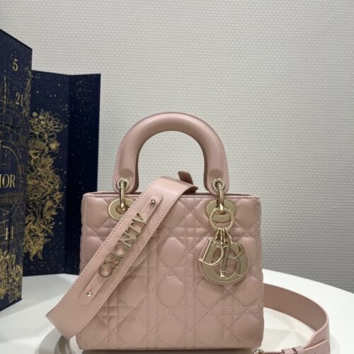 Lady Dior Powered Pink ABC